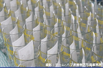 2008y-chu1001w_thumb.png